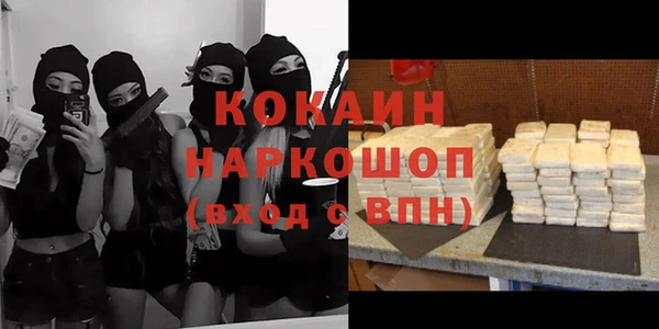 сатива Богданович