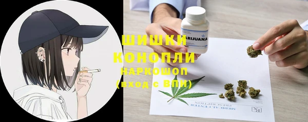 сатива Богданович