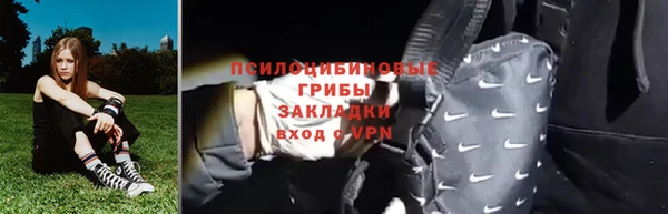 сатива Богданович