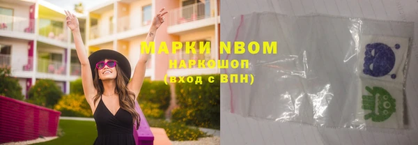 сатива Богданович
