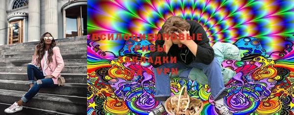 сатива Богданович