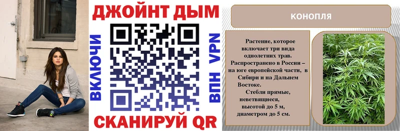 Бошки марихуана THC 21% мега сайт Михайлов